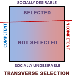 transverse-selection